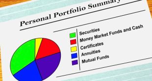 Membangun portofolio investasi yang seimbang bagi pemula