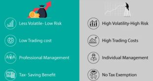 Investasi reksadana bibit vs saham: mana yang lebih cocok untuk saya?