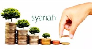 Bibit investasi reksadana syariah: keuntungan dan risikonya