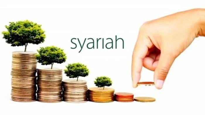 Bibit investasi reksadana syariah: keuntungan dan risikonya