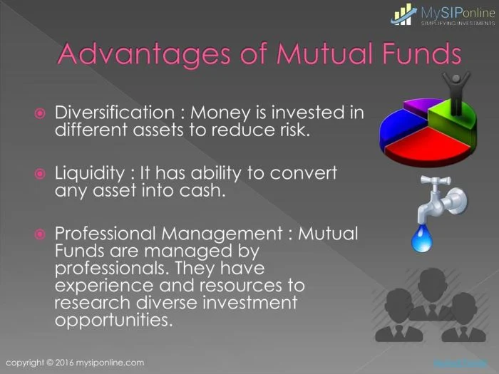 Term long risk mean less does funds mutual investment