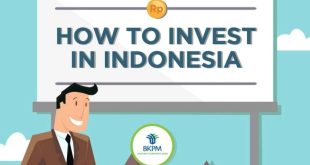 Mitos dan fakta seputar investasi untuk pemula di Indonesia